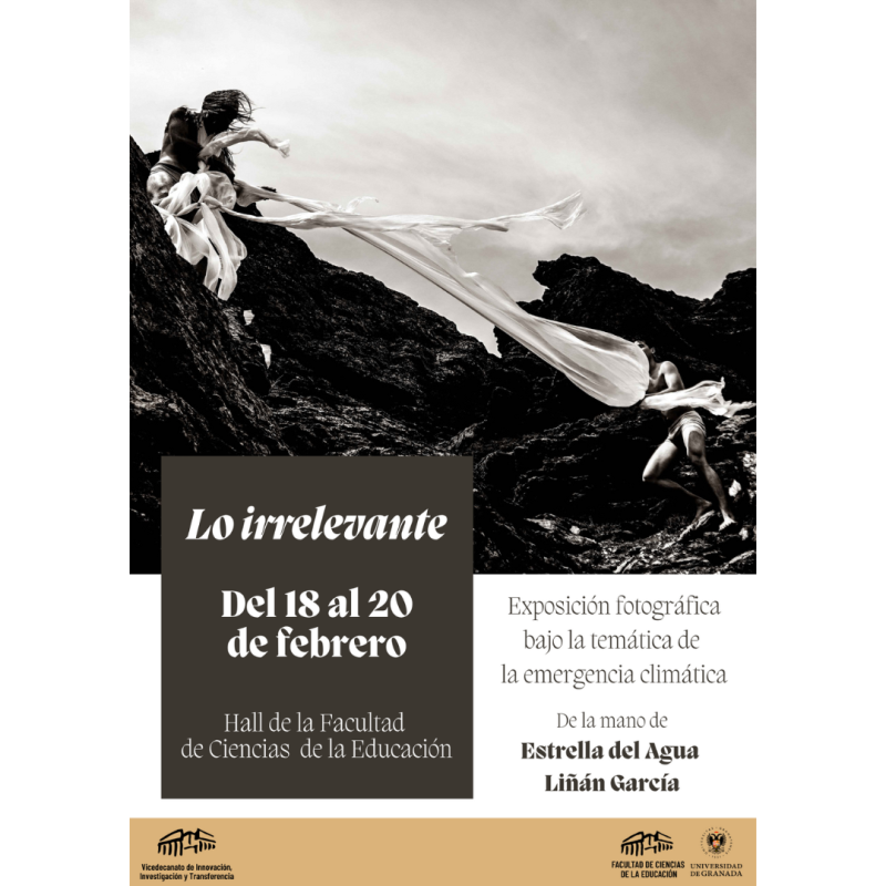 Exposici贸n Fotogr谩fica: "Lo Irrelevante" Cartel de la actividad